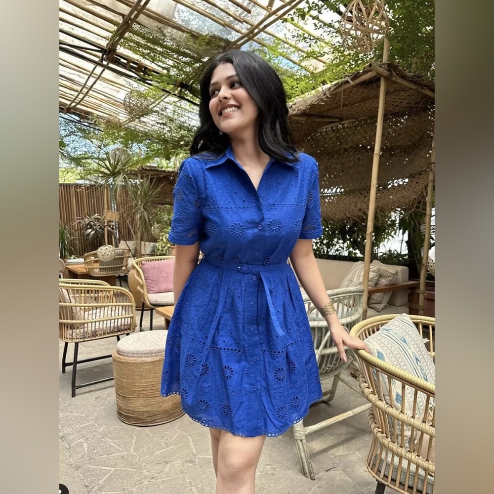 NWT Zara Blue Embroidered Dress